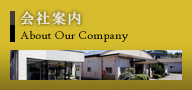About Our Company